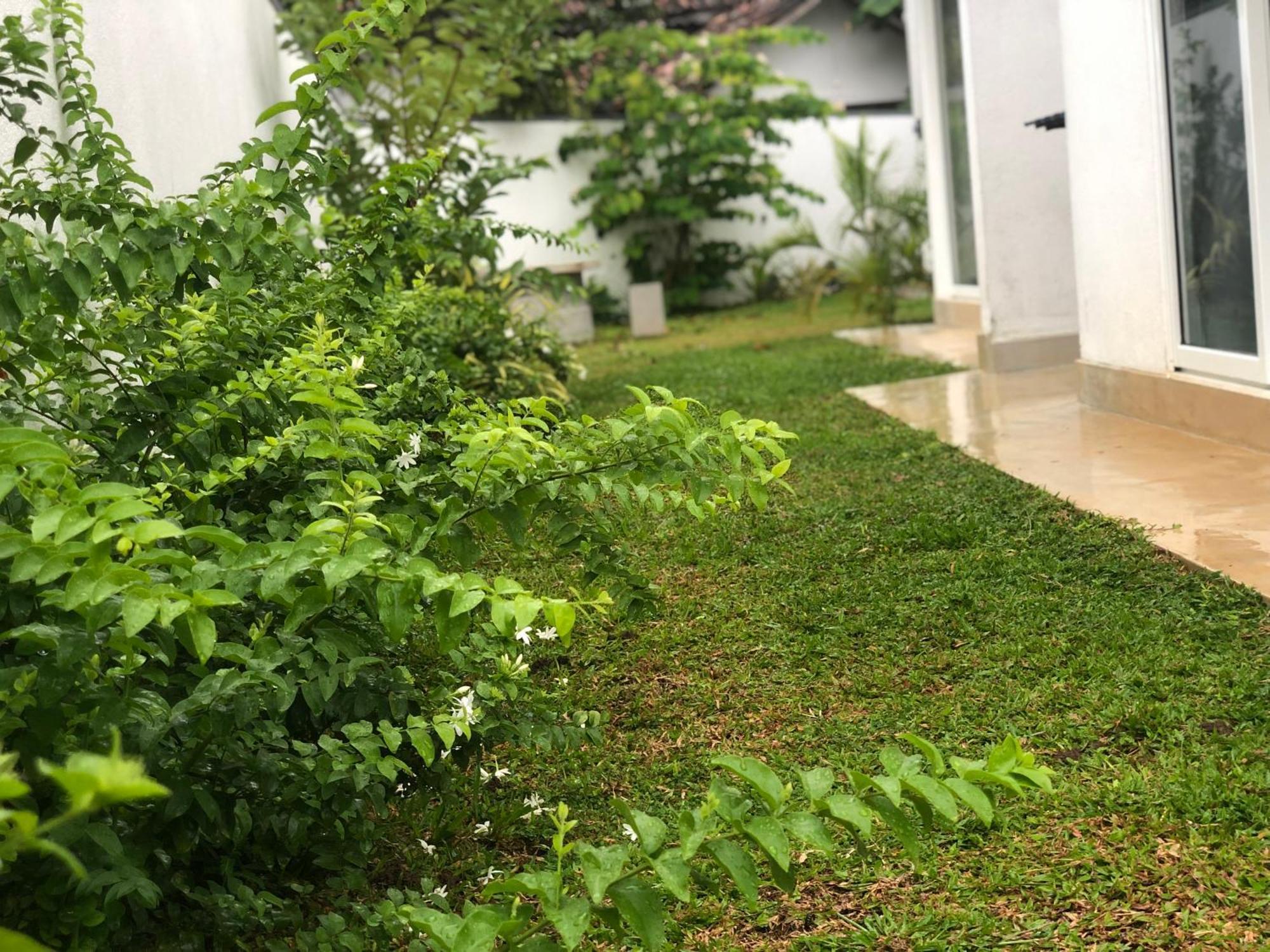 Luvi'S Villa Galle Bagian luar foto